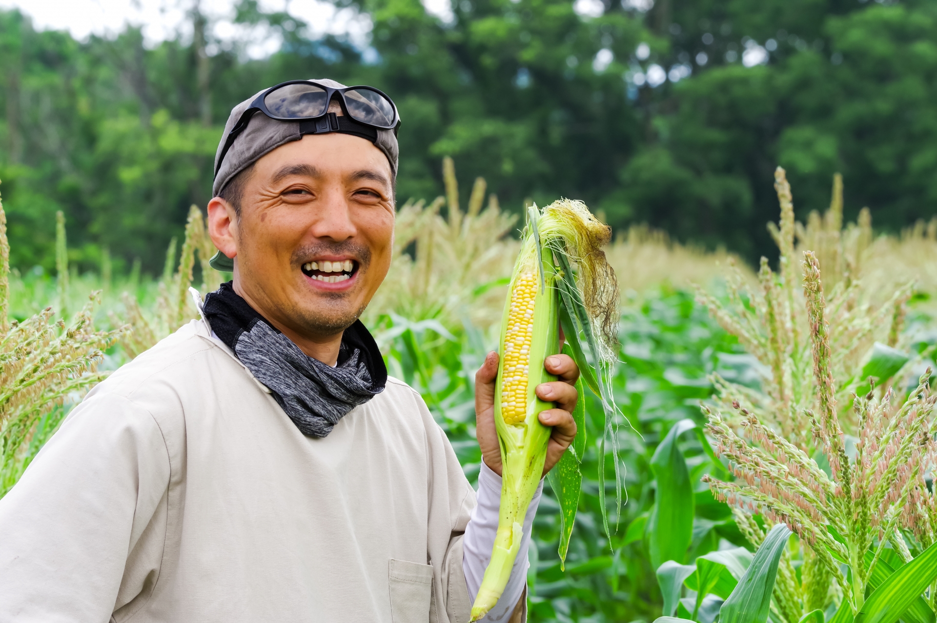 農業融資の対象者と条件