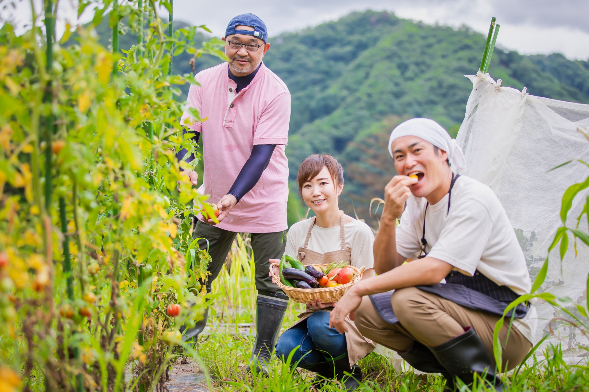 脱サラ農業が注目される理由